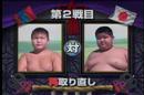 摔跤 相撲