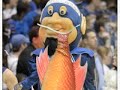 duke blue devils best play 2008