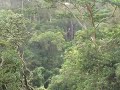 Avery ziplining across BIEA zipline 7
