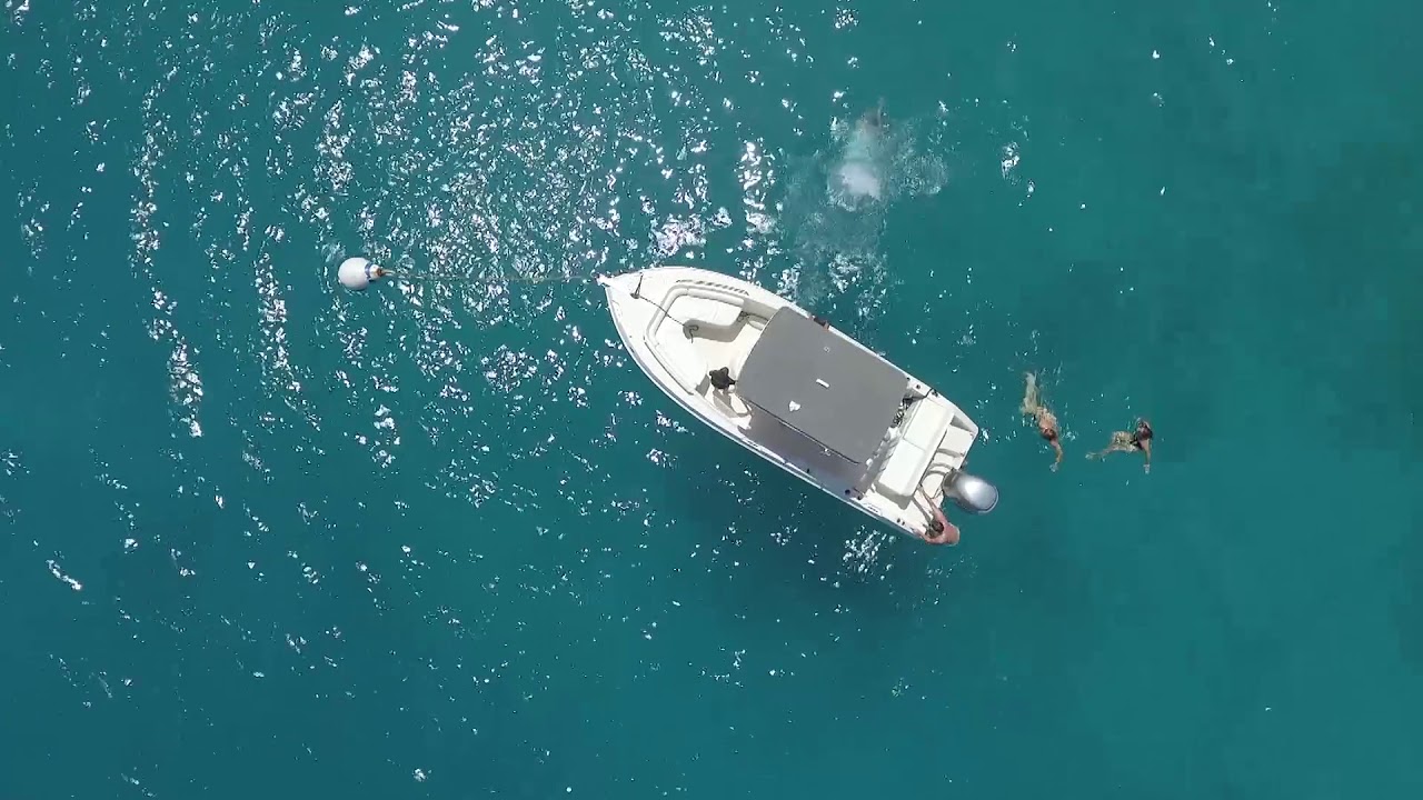 Home • Island Time Power Boat Rentals