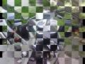 Romet ogar 900