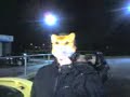 il nostro amico marco in adriana volpe!! e che volpe!!!
