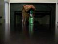 videos de Puppet time cont.