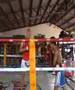 Padwork Training In Thailand
