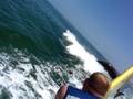 videos de More Dolphin Sighting in FL