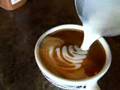 6oz. Rosetta