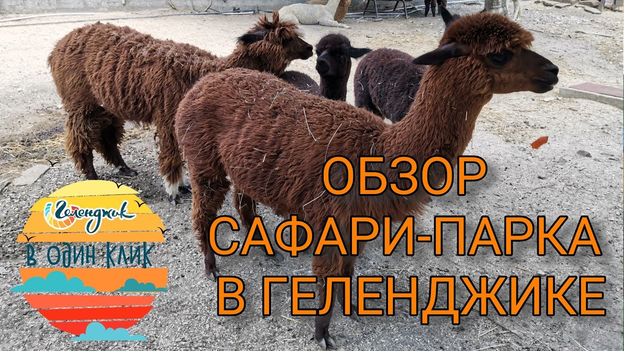 Сафари парк 2020. Канатная дорога. Террариум. Обзор, цены.