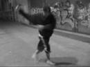 moshing lesson 5 moshing lesson 5