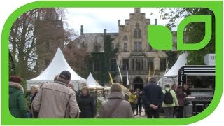 Impressionen: Frühlingsfestival 2016 auf Schloss Ippenburg 