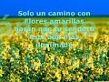 Bendita la luz (video casero)