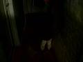 videos de emre taneri 2
