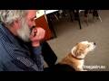 Dog singing blues - by Petr Salek