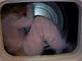 girl takes a spin in the tumble dryer girl takes a spin in the tumble dryer