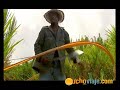 27-04_-_Antillas_y_Ron.wmv