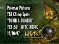 Monkey-ed Movie: Dumb and Dumber