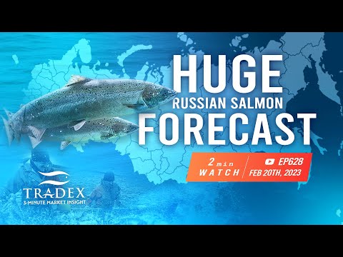 3MMI - HUGE 2023 Russia Salmon Forecast, Big Pink Salmon Year, Chums Overestimated