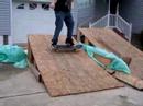 mullet and rule ramp fun
