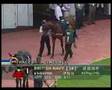 Desbocado - Parade Ring - 01-Dec-07