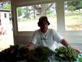 videos de herb harvest