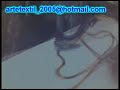 Accesorio para bordar con maquina de coser