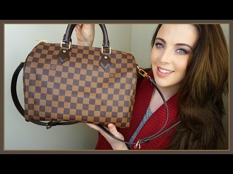 how to take care of lv speedy