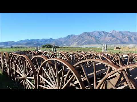 動画
