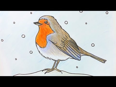 video-linktoworks-Beginners - How to draw a robin step by step - YouTube