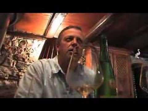 P.-P. Zink membre du Projet No� Grand Cru Steinert