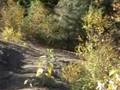 The Valley Hill Climb, Central PA