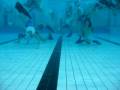 2004 Underwater Hockey Nationals in Hobart