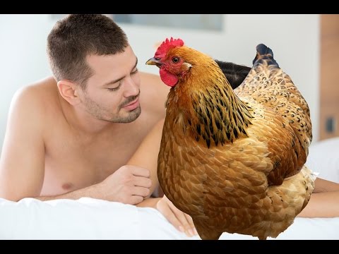 how to perform circumcision howtobasic