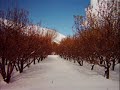 Mouin-Shreif_I3tazi_معين شريف _ أعتزي _اليمونة جنة لبنان