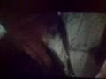cortometrage por ERKANO