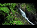 divino - mi tierra (fotos de puerto rico)