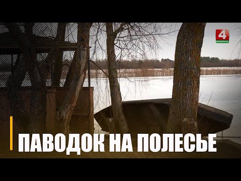 В Житковичском районе уровень воды каждый день повышается на несколько сантиметров видео