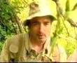 Les Insectes