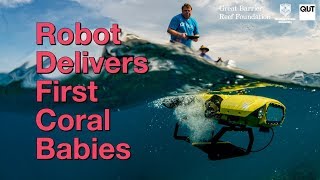 mqdefault LarvalBot : a korallz&aacute;tonyok megmentője - Mesefarm - ismeretterjesztő port&aacute;l 