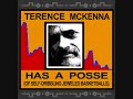 Terence Mckenna: Seeking the stone p1 Terence Mckenna: Seeking the stone p1