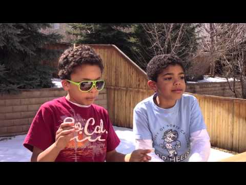 how to get rid woodpeckers