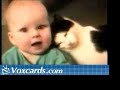 Voxcards - Gatinhos