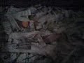 Vermicomposting Vermicomposting