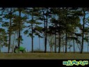 Il Trattore Più Veloce Del Mondo Il Trattore Più Veloce Del Mondo