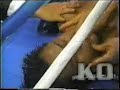 hoost vs kiatsongrit