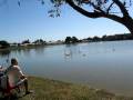 videos de Remote Control Sailboats at Freedom Lake Park /pinellas park Florida MVI_0702.AVI