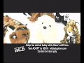 WWF Christmas Campaign 10 sec.asf