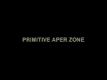 primtive aper