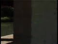 Pizda-muie-porno-adu