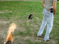 Adventures of Rogue Element pt. 5