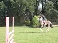 Bicton- march 2008