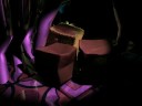 blender 2.46 mirror, soft body, armature, bone, particle